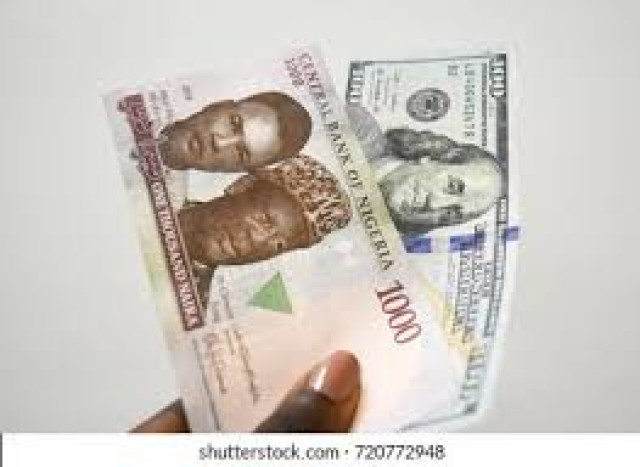 Naira and Dollar notes